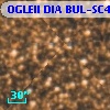 OGLEII DIA BUL-SC4   1837
