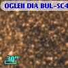 OGLEII DIA BUL-SC4   2081