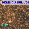 OGLEII DIA BUL-SC4   2083