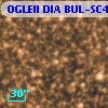OGLEII DIA BUL-SC4   2103