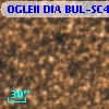 OGLEII DIA BUL-SC4   2316