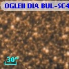OGLEII DIA BUL-SC4   2349
