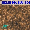 OGLEII DIA BUL-SC4   2457