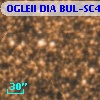 OGLEII DIA BUL-SC4   2538