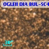 OGLEII DIA BUL-SC4   2741