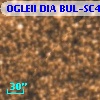 OGLEII DIA BUL-SC4   2804