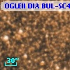 OGLEII DIA BUL-SC4   2847