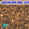 OGLEII DIA BUL-SC4   3093