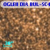 OGLEII DIA BUL-SC4   3186