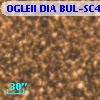 OGLEII DIA BUL-SC4   3227