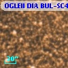 OGLEII DIA BUL-SC4   3266