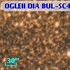 OGLEII DIA BUL-SC4   3295