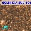 OGLEII DIA BUL-SC4   3300