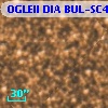 OGLEII DIA BUL-SC4   3534