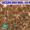 OGLEII DIA BUL-SC4   4006