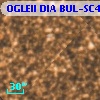 OGLEII DIA BUL-SC4   4492
