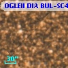OGLEII DIA BUL-SC4   4748