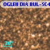 OGLEII DIA BUL-SC4   4991