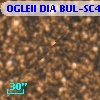 OGLEII DIA BUL-SC4   5047