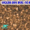 OGLEII DIA BUL-SC4   5083