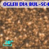 OGLEII DIA BUL-SC4   5086