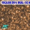 OGLEII DIA BUL-SC4   5425
