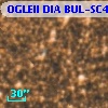 OGLEII DIA BUL-SC4   5461