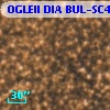 OGLEII DIA BUL-SC4   5835