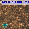 OGLEII DIA BUL-SC4   6181