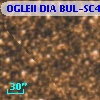 OGLEII DIA BUL-SC4   6215