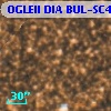 OGLEII DIA BUL-SC4   6478