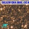 OGLEII DIA BUL-SC4   6790