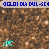 OGLEII DIA BUL-SC4   6813
