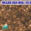 OGLEII DIA BUL-SC4   6870