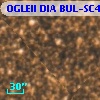 OGLEII DIA BUL-SC4   6984