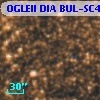 OGLEII DIA BUL-SC4   7064