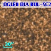 OGLEII DIA BUL-SC20     51