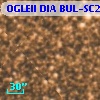 OGLEII DIA BUL-SC20    169