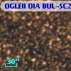 OGLEII DIA BUL-SC20    297