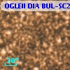 OGLEII DIA BUL-SC20    314