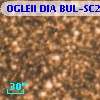 OGLEII DIA BUL-SC20    343