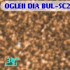 OGLEII DIA BUL-SC20    502