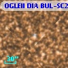 OGLEII DIA BUL-SC20    507