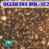 OGLEII DIA BUL-SC20    555