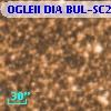 OGLEII DIA BUL-SC20    587