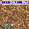 OGLEII DIA BUL-SC20    629