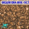 OGLEII DIA BUL-SC20    650