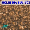 OGLEII DIA BUL-SC20    651
