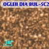 OGLEII DIA BUL-SC20    696