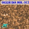 OGLEII DIA BUL-SC20    698